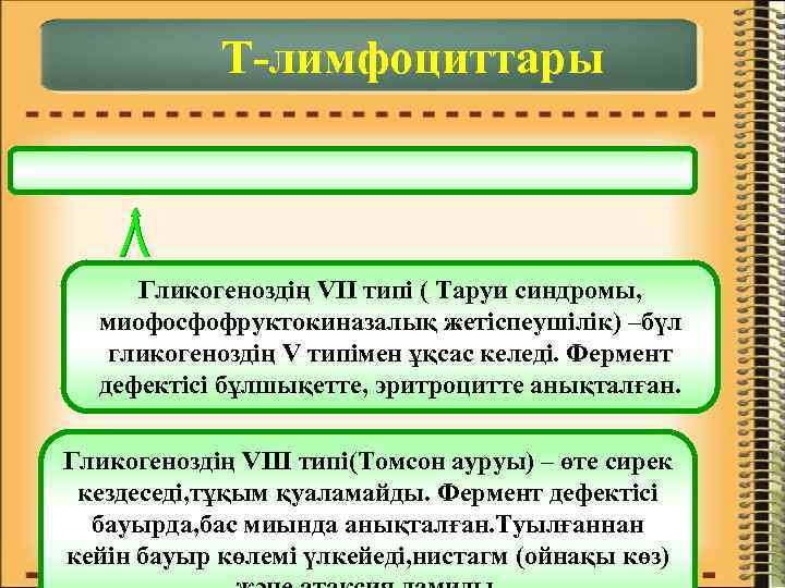 Т-лимфоциттары Гликогеноздің VII типі ( Таруи синдромы, миофосфофруктокиназалық жетіспеушілік) –бүл гликогеноздің V типімен ұқсас