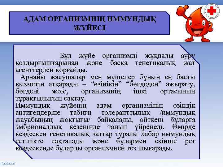 АДАМ ОРГАНИЗМНІҢ ИММУНДЫҚ ЖҮЙЕСІ Бұл жүйе организмді жұқпалы ауру қоздырғыштарынан және басқа генетикалық жат