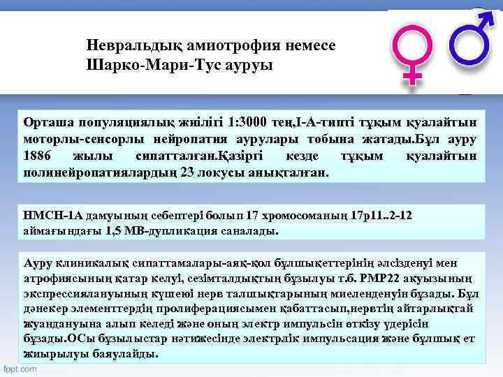 Невральдық амиотрофия немесе Шарко-Мари-Тус ауруы Орташа популяциялық жиілігі 1: 3000 тең, І-А-типті тұқым қуалайтын