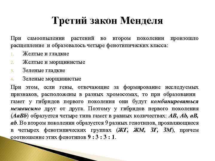 Третий закон Менделя При самоопылении растений во втором поколении произошло расщепление и образовалось четыре