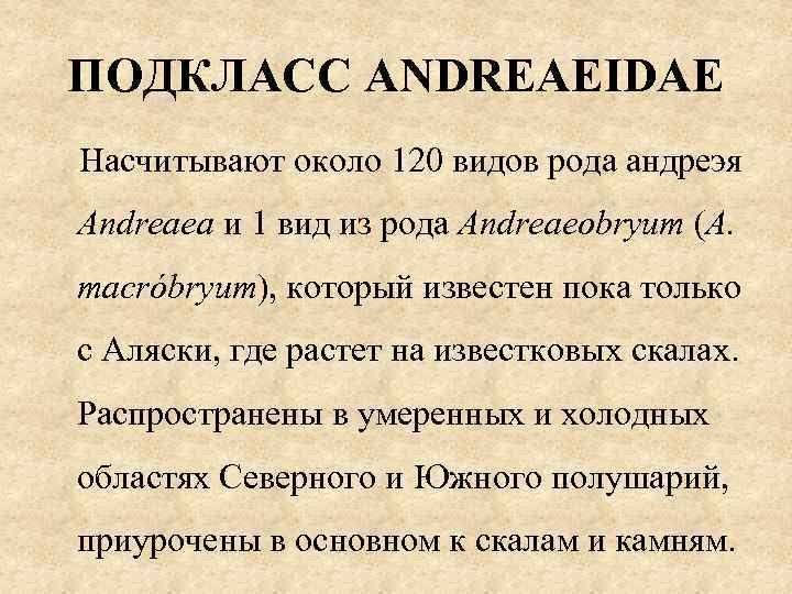 ПОДКЛАСС ANDREAEIDAE Насчитывают около 120 видов рода андреэя Andreaea и 1 вид из рода