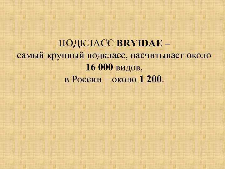 ПОДКЛАСС BRYIDAE – самый крупный подкласс, насчитывает около 16 000 видов, в России –