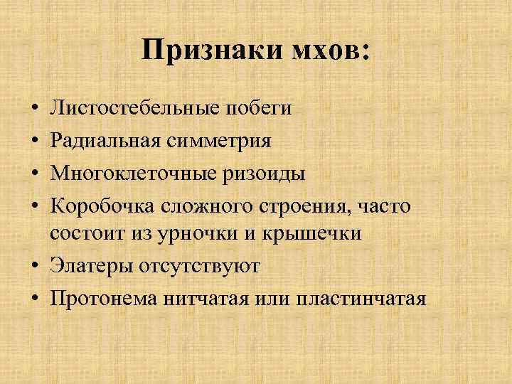 Признаки мхов: • • Листостебельные побеги Радиальная симметрия Многоклеточные ризоиды Коробочка сложного строения, часто