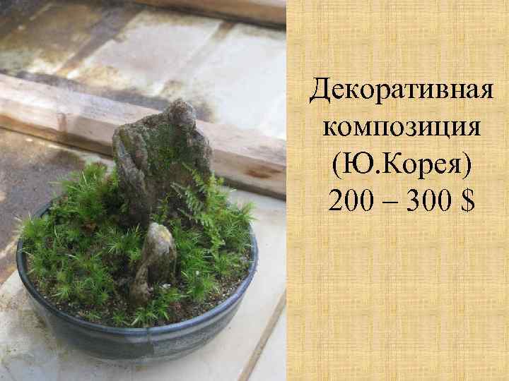 Декоративная композиция (Ю. Корея) 200 – 300 $ 