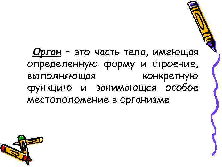 Орган – это часть тела, имеющая определенную форму и строение, выполняющая конкретную функцию и