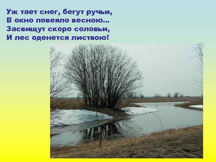 Уж тает снег, бегут ручьи, В окно повеяло весною… Засвищут скоро соловьи, И лес