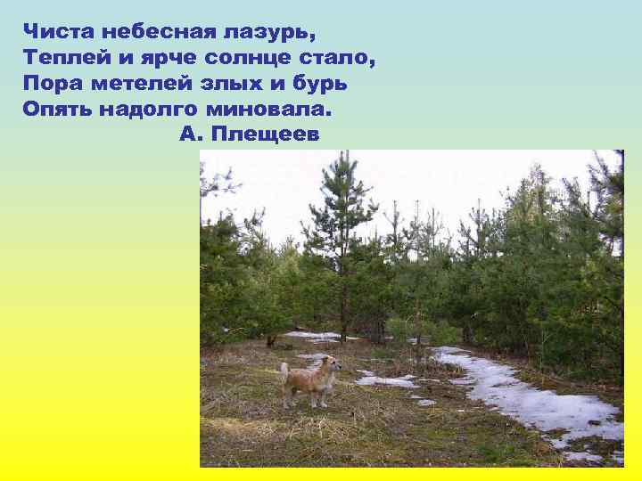 Чиста небесная лазурь, Теплей и ярче солнце стало, Пора метелей злых и бурь Опять