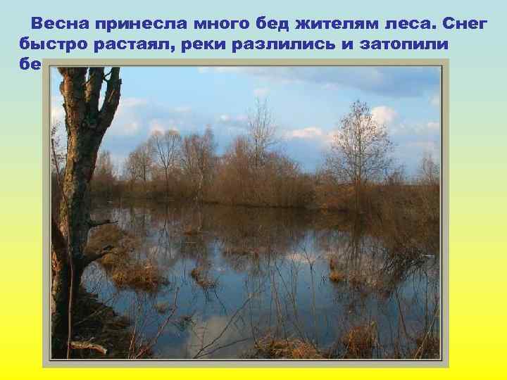 Весна принесла много бед жителям леса. Снег быстро растаял, реки разлились и затопили берега.