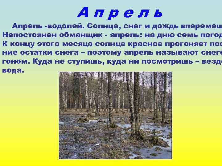 Апрель -водолей. Солнце, снег и дождь вперемеш Непостоянен обманщик - апрель: на дню семь