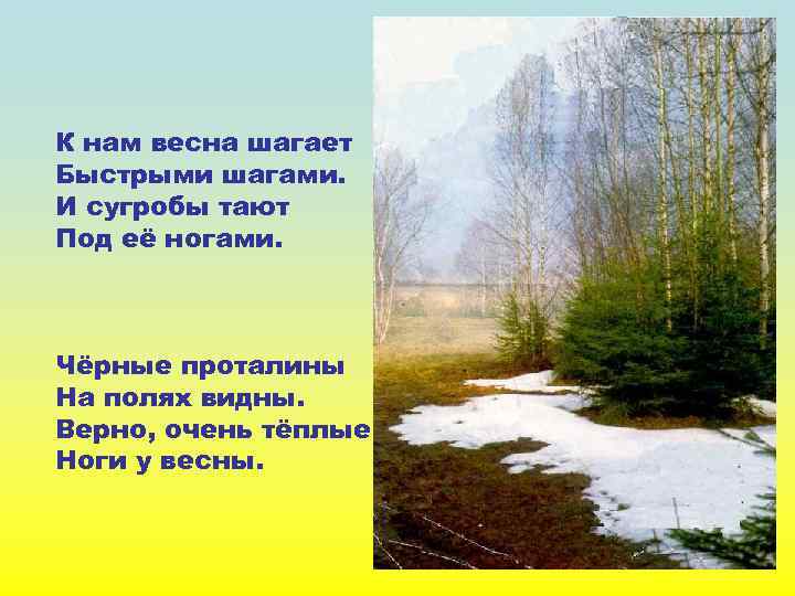 К нам весна шагает Быстрыми шагами. И сугробы тают Под её ногами. Чёрные проталины