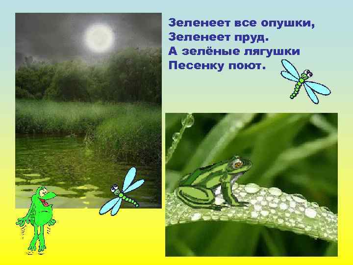 Зеленеет все опушки, Зеленеет пруд. А зелёные лягушки Песенку поют. 