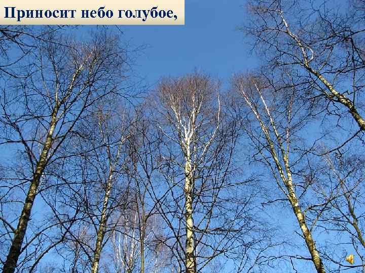 Приносит небо голубое, 