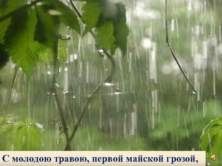 С молодою травою, первой майской грозой, 