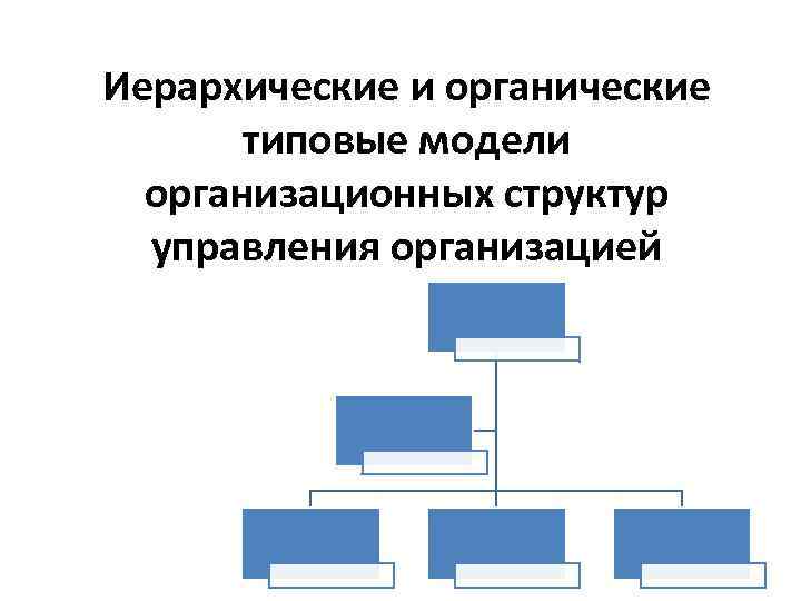 Иерархические и органические типовые модели организационных структур управления организацией 