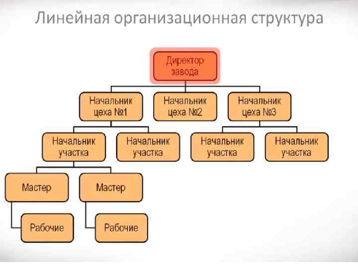 Линейная структура организации Высший руководитель Линейный руководитель Исполнители Линейный руководитель Исполнители Область применения: •