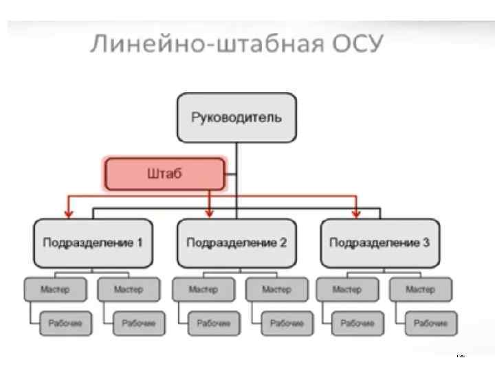 Линейно-штабная структура 12 