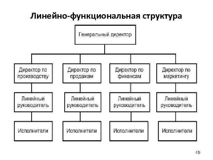 Линейно-функциональная структура 15 