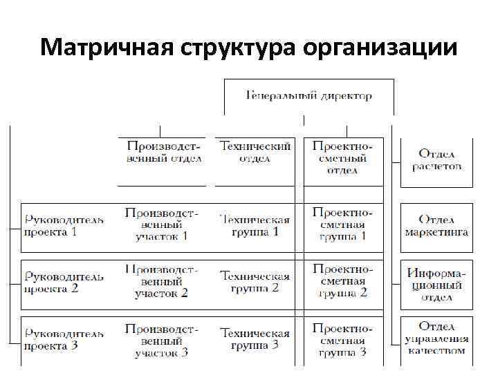 Матричная структура организации 25 