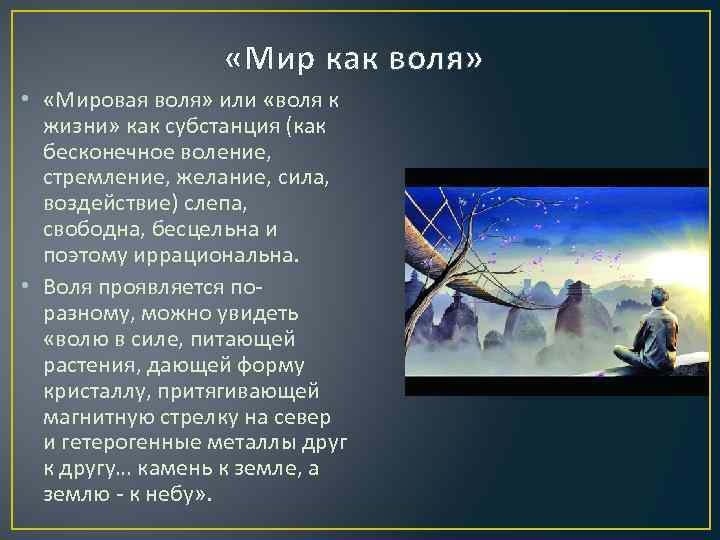 Мировая философия. Мировая Воля в философии это. Воля к жизни в философии это. Философия жизни мировая Воля. Мировая Воля или Воля к жизни.