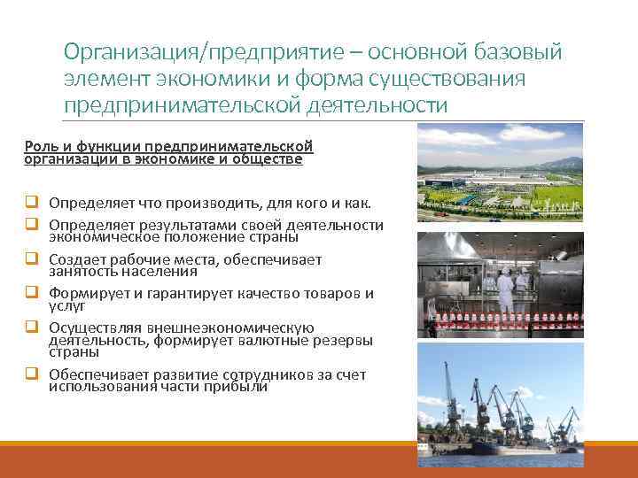Организация/предприятие – основной базовый элемент экономики и форма существования предпринимательской деятельности Роль и функции