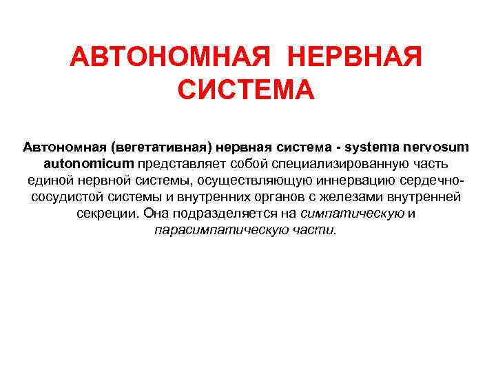 АВТОНОМНАЯ НЕРВНАЯ СИСТЕМА Автономная (вегетативная) нервная система - systema nervosum autonomicum представляет собой специализированную