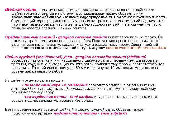 Шейная часть симпатического ствола простирается от краниального шейного до шейно-грудного ганглия и прилежит к