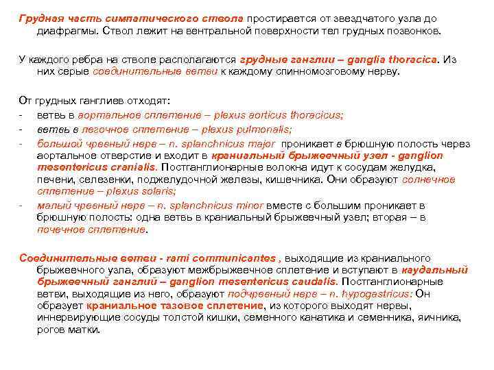 Грудная часть симпатического ствола простирается от звездчатого узла до диафрагмы. Ствол лежит на вентральной
