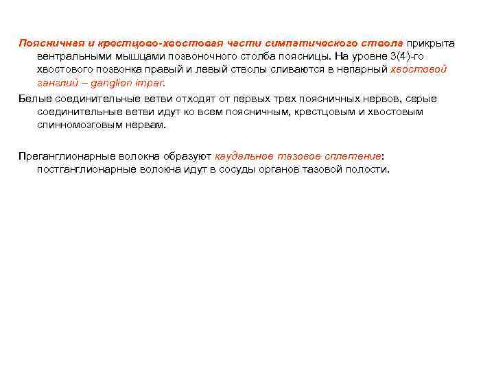 Поясничная и крестцово-хвостовая части симпатического ствола прикрыта вентральными мышцами позвоночного столба поясницы. На уровне