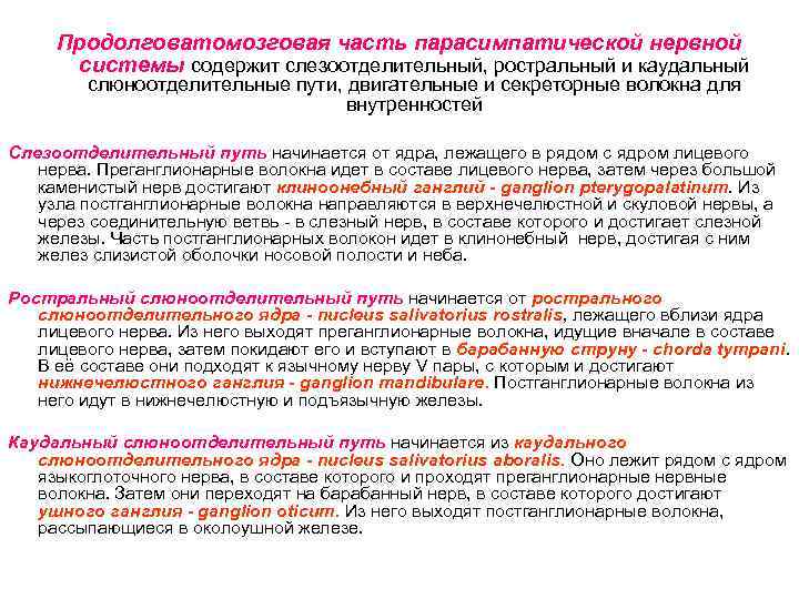 Продолговатомозговая часть парасимпатической нервной системы содержит слезоотделительный, ростральный и каудальный слюноотделительные пути, двигательные и