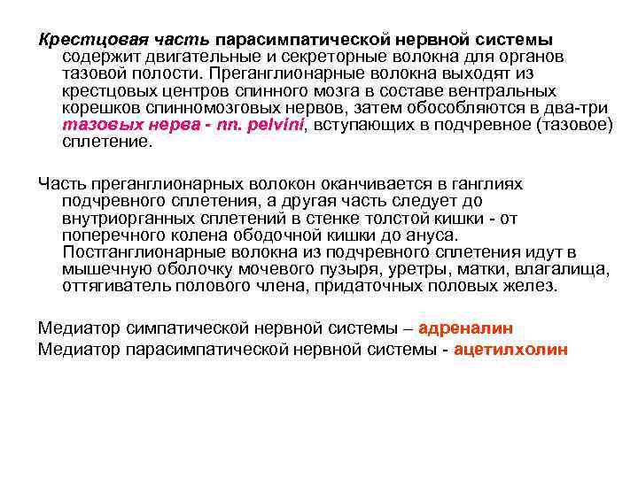 Крестцовая часть парасимпатической нервной системы содержит двигательные и секреторные волокна для органов тазовой полости.