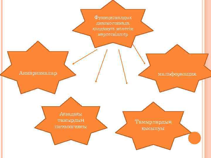 Функционалдық диагностикада қолдануға келетін көрсеткіштер Анивризмалар Ағзадағы тамырдың патологиясы мальформация Тамырлардың қысылуы 