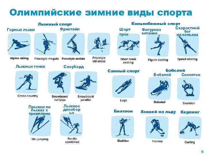 Олимпийские зимние виды спорта Лыжный спорт Фристайл Горные лыжи Лыжные гонки Прыжки на лыжах