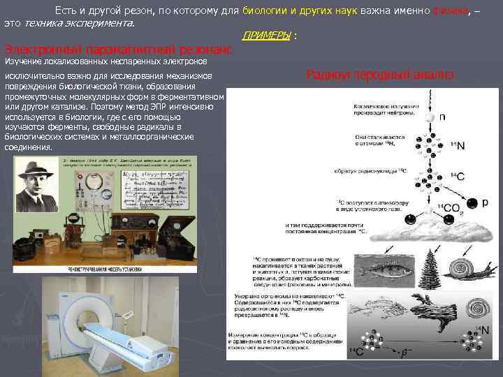 Есть и другой резон, по которому для биологии и других наук важна именно физика,