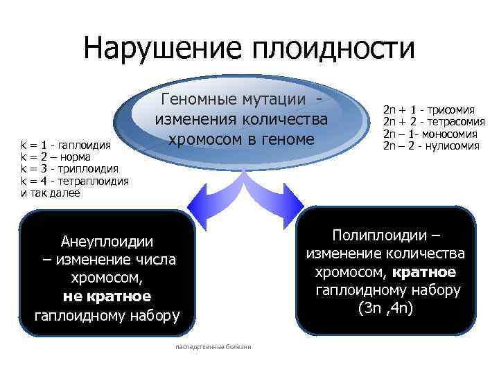 Хромосомные заболевания проект