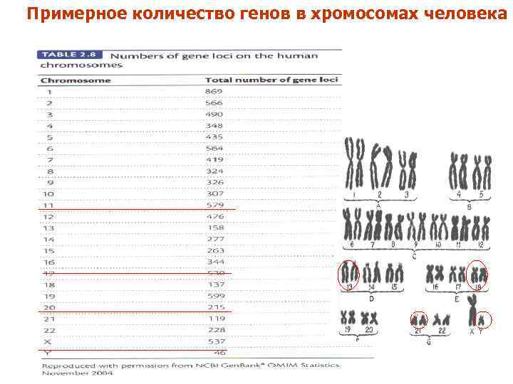 Хромосомные заболевания проект