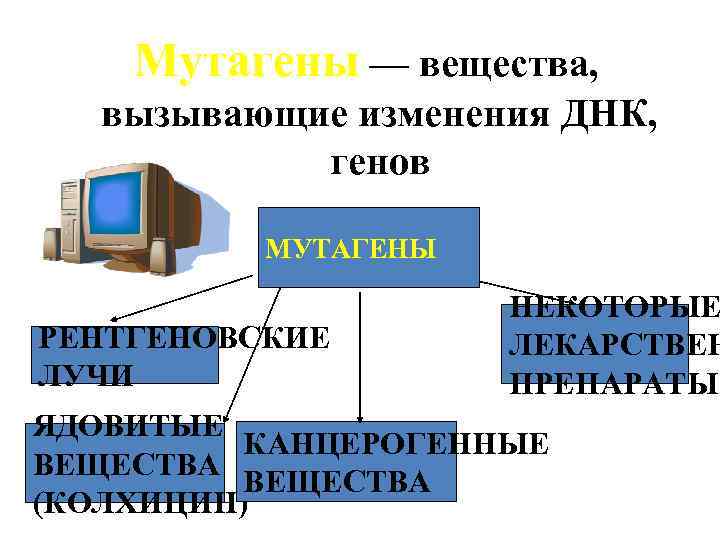Мутагены — вещества, вызывающие изменения ДНК, генов МУТАГЕНЫ РЕНТГЕНОВСКИЕ ЛУЧИ НЕКОТОРЫЕ ЛЕКАРСТВЕН ПРЕПАРАТЫ ЯДОВИТЫЕ