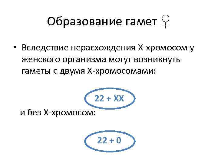 Образование гамет ♀ • Вследствие нерасхождения Х хромосом у женского организма могут возникнуть гаметы