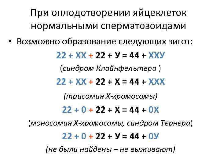 При оплодотворении яйцеклеток нормальными сперматозоидами • Возможно образование следующих зигот: 22 + ХХ +