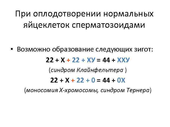 При оплодотворении нормальных яйцеклеток сперматозоидами • Возможно образование следующих зигот: 22 + Х +