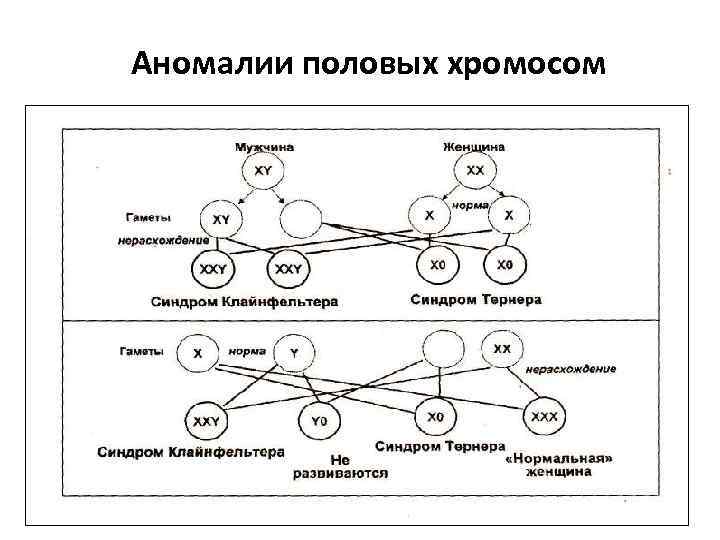 Аномалии половых хромосом 
