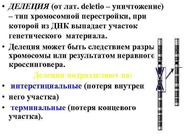  • ДЕЛЕЦИЯ (от лат. deletio – уничтожение) – тип хромосомной перестройки, при которой