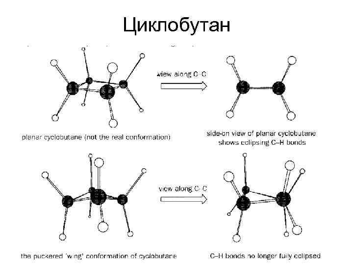 Циклобутан 