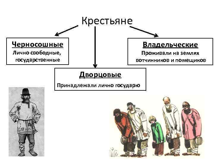 Крестьяне Черносошные Владельческие Лично свободные, государственные Проживали на землях вотчинников и помещиков Дворцовые Принадлежали