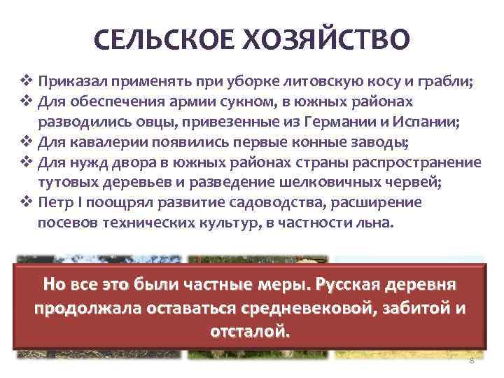 Проект экономика россии в первой четверти 18 в