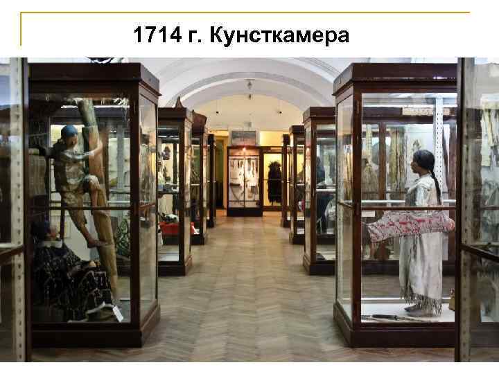 1714 г. Кунсткамера 