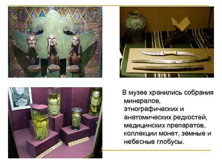 В музее хранились собрания минералов, этнографических и анатомических редкостей, медицинских препаратов, коллекции монет, земные