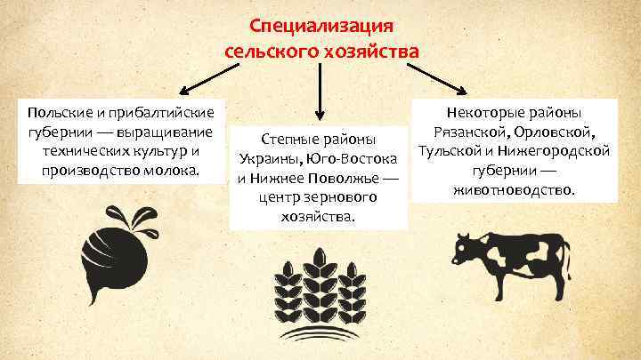 Специализация сельского хозяйства Польские и прибалтийские губернии — выращивание технических культур и производство молока.