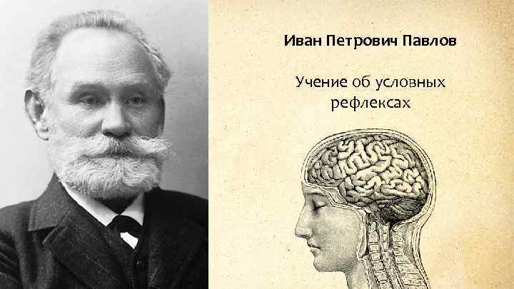 Иван Петрович Павлов Учение об условных рефлексах 