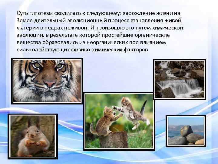 Суть гипотезы сводилась к следующему: зарождение жизни на Земле длительный эволюционный процесс становления живой