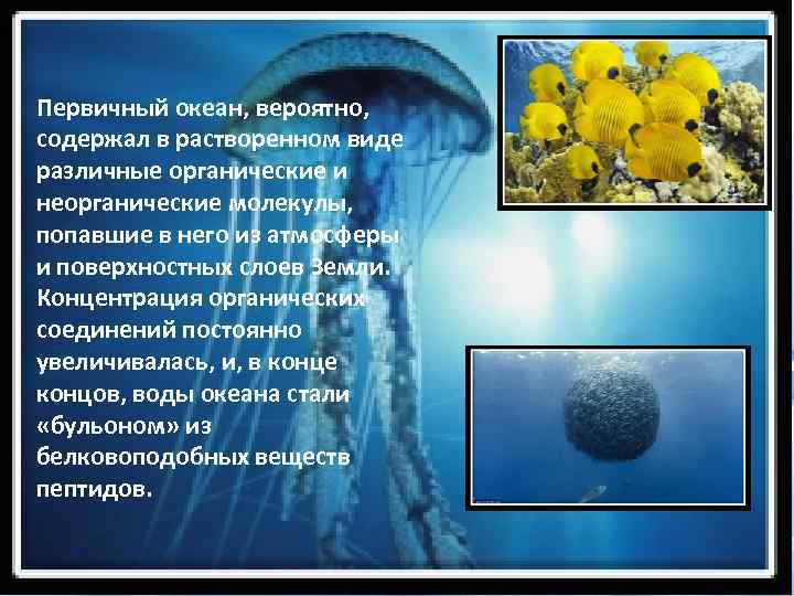 Органические вещества в первичном бульоне могли существовать бесконечно долго на земле из-за